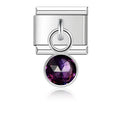 February Birthstone Charm