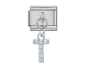 T Silver Charm