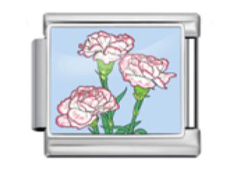 Poppy Flowers Charm