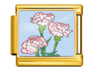 Poppy Flowers Charm