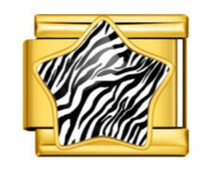 Zebra Print Charm