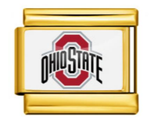 Ohio St Charm