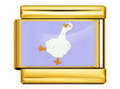 Duck Charm
