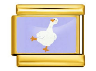 Duck Charm